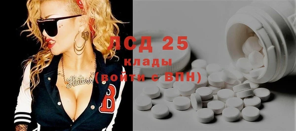 стафф Алзамай