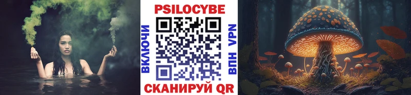 где продают наркотики  Сосновый Бор  Галлюциногенные грибы Psilocybine cubensis 