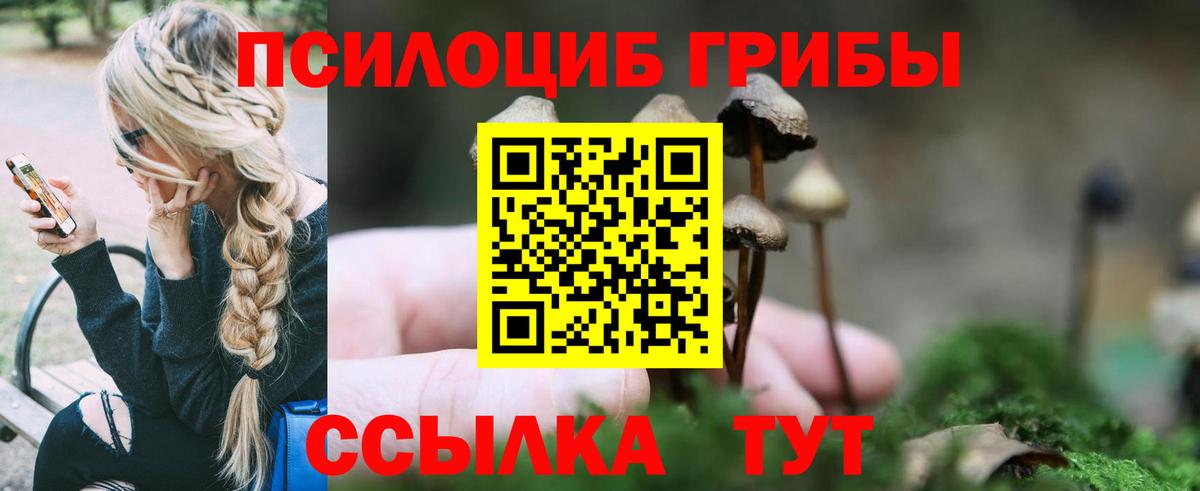 Галлюциногенные грибы Psilocybine cubensis  Вход с VPN  купить закладку  Сосновый Бор 