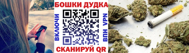 купить наркотики цена  Сосновый Бор  KRAKEN зеркало  Каннабис гибрид 