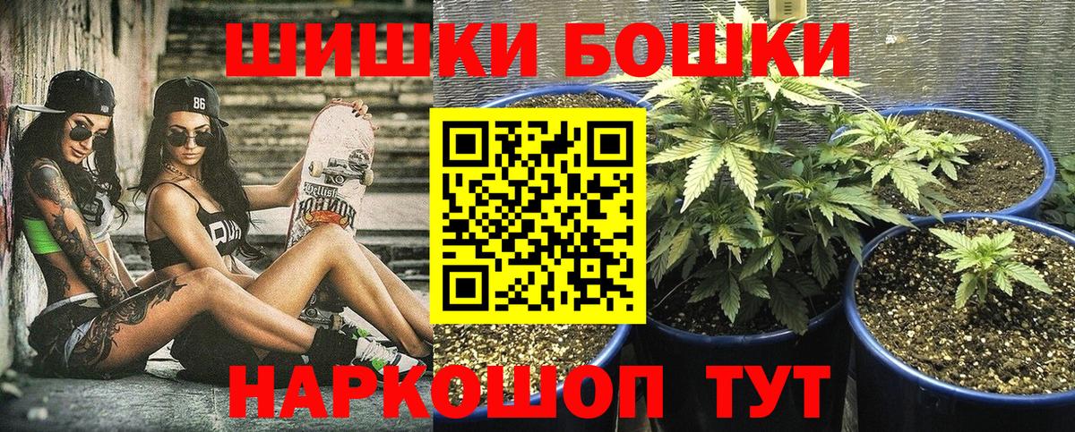 Бошки марихуана OG Kush  Канабис OG Kush  Сосновый Бор  Вход с VPN 